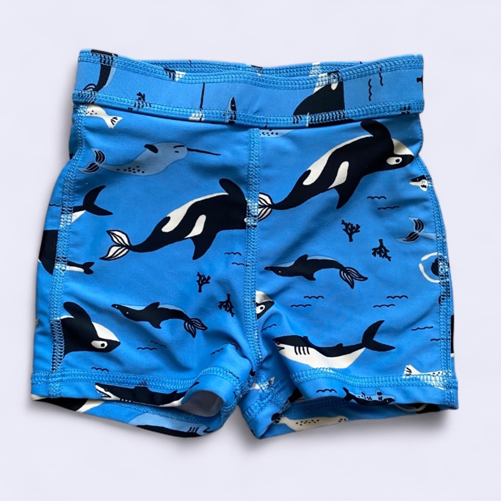 Blue Whale Baby Swim Short